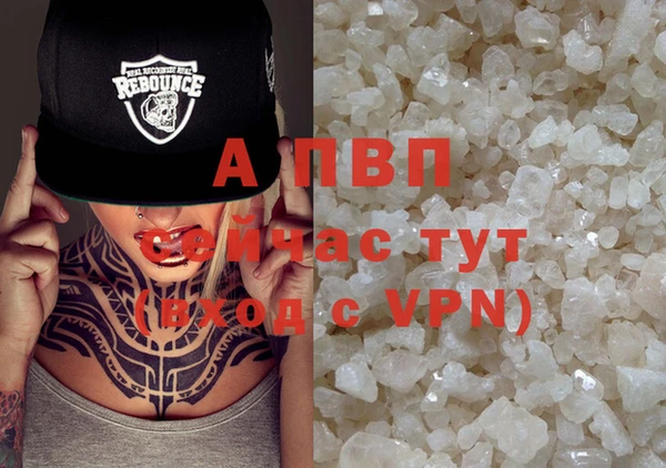 стафф Алзамай