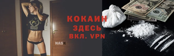 крисы Алексин