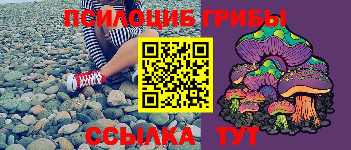 Псилоцибиновые грибы мицелий  Псилоцибиновые грибы ЛСД  Вход с VPN  Набережные Челны 